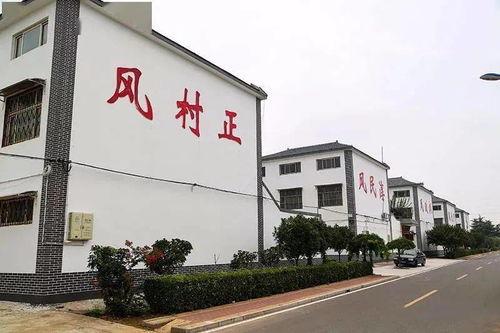 四川安阳头条,聚焦四川安阳最新动态，解码地方发展新篇章
