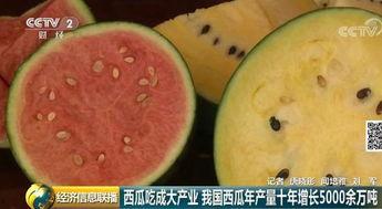 北京吃瓜网,揭秘京城美食圈那些事儿
