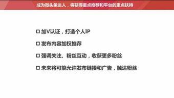 头条号如何加入粉丝团,解锁互动新体验