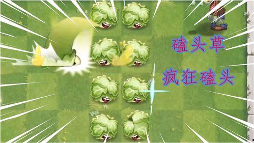 小吉祥草王模型爆料视频,独家爆料视频深度解析