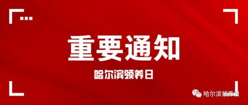 深圳育儿计划今日头条,全方位支持新家庭育儿新篇章