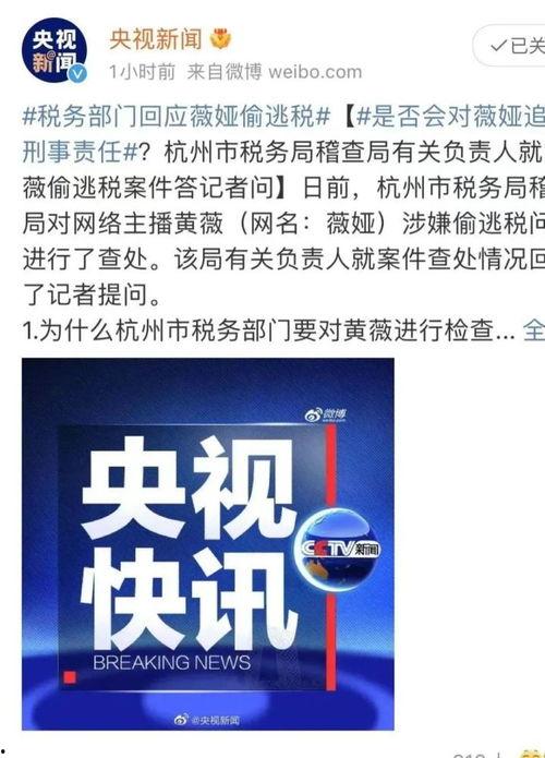 网红偷税漏税乱象整改,重塑行业规范，守护公平正义