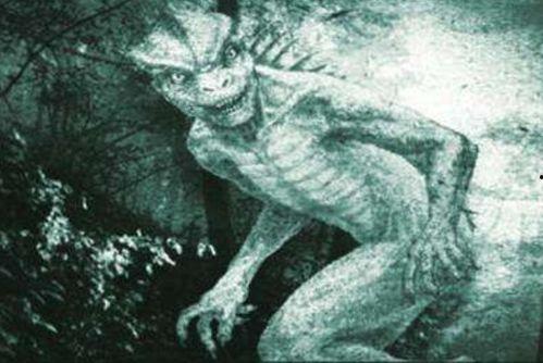 网红蜥蜴人,揭秘网红背后的励志故事