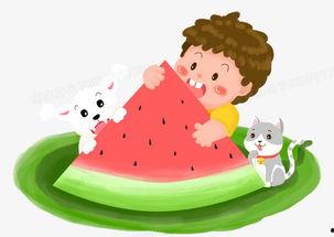 炎热的夏天来了吃瓜,清凉一“瓜”解暑趣
