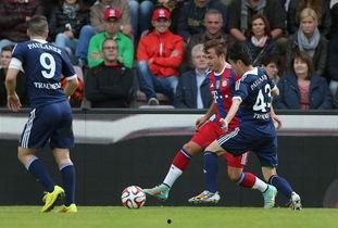 明星拜仁球迷,明星拜仁球迷的激情岁月