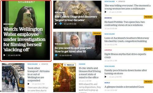 新西兰华人爆料视频